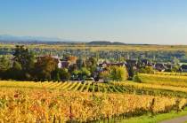 Location à la campagne en Alsace : gîtes ruraux et fermes