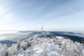 Location à Mulhouse : appartements et logements dans le Haut-Rhin