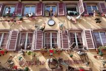 Location à Ribeauvillé : séjour au pied des trois châteaux