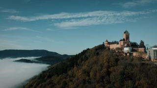Location à Sélestat : séjour dans la ville humaniste d'Alsace