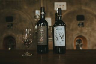 Vins d'Alsace : cépages, Grands Crus et dégustations