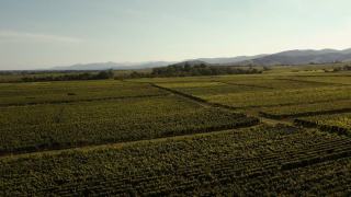 Alsace spa et bien-être : thermes et hôtels wellness en Alsace