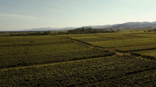 Spa et bien-être en Alsace : thermes, hôtels wellness et séjours de relaxation Spa et bien-être en Alsace : thermes, hôtels wellness et séjours de relaxation