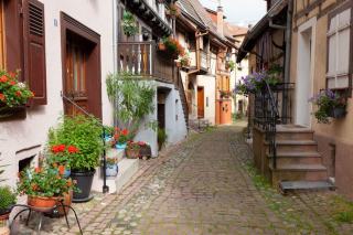 Location à Riquewihr : gîtes et séjours au cœur du vignoble